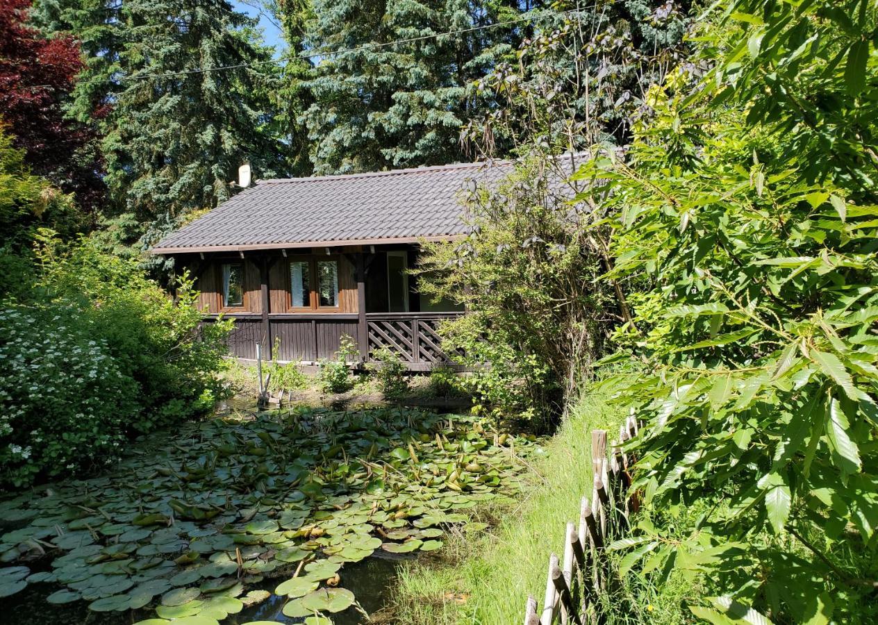 Vila Dankowska Dolina Exteriér fotografie
