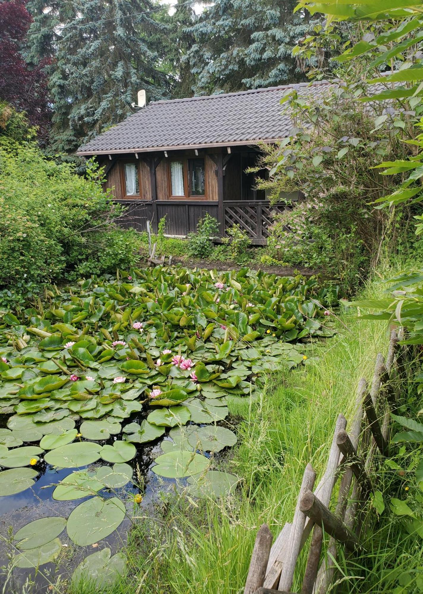 Vila Dankowska Dolina Exteriér fotografie